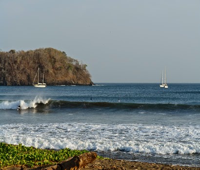 los santos: Los Santos Flora y Fauna